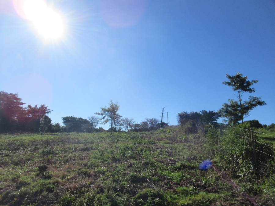 0 Bedroom Property for Sale in Bathurst Eastern Cape